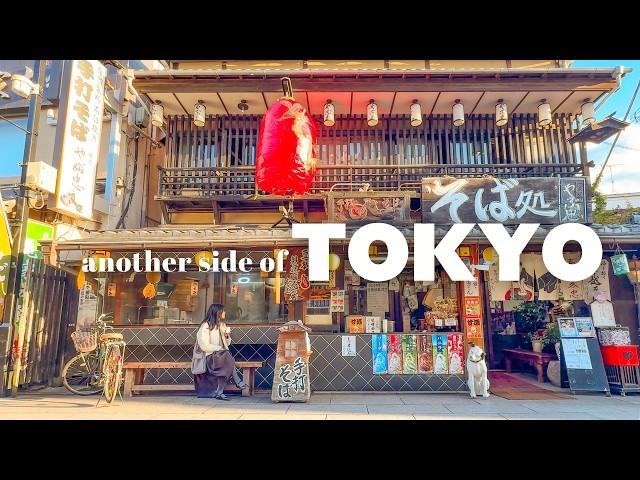 Tokyo’s Retro Japanese Neighborhood | Temples, Street Food & Yamamoto-tei Tea House | Japan VLOG