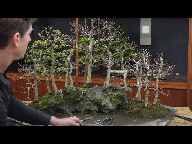 Creating a Forest landscape