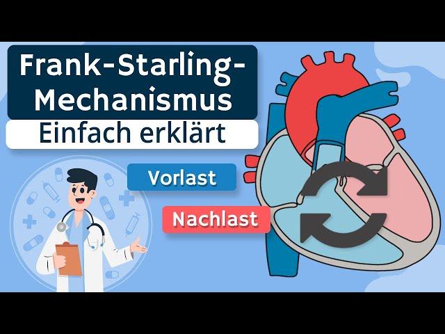 Frank-Starling-Mechanismus einfach erklärt