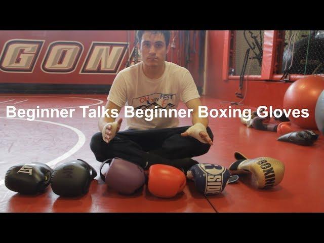 Beginner Boxing Glove Comparison: Which gloves should I start with?