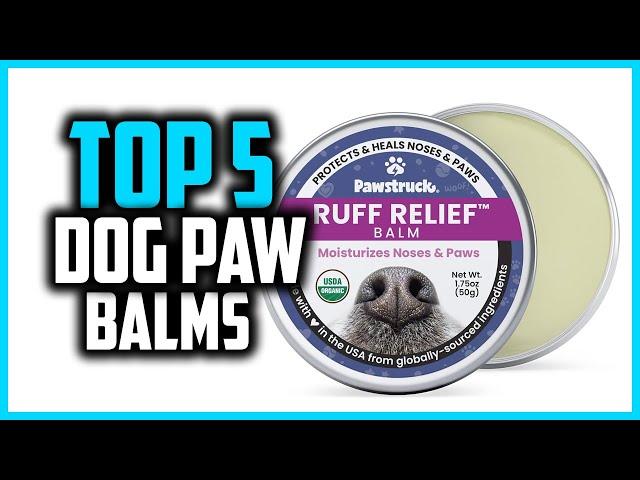 Top 5 Best Dog Paw Balms Reviews 2024