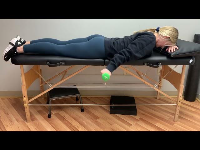 Prone Shoulder Extension with Scapular Posterior Tilt