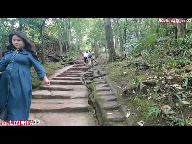 青城山道教学院及后山