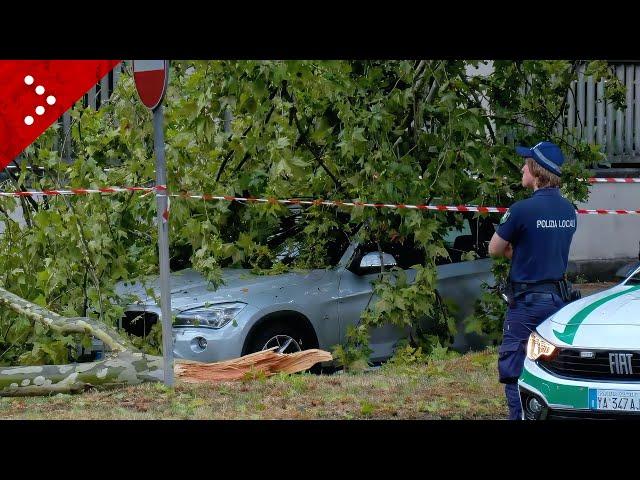 Heavy storm hits Turin, roofs torn off and trees blown down by the wind in the Mirafiori area