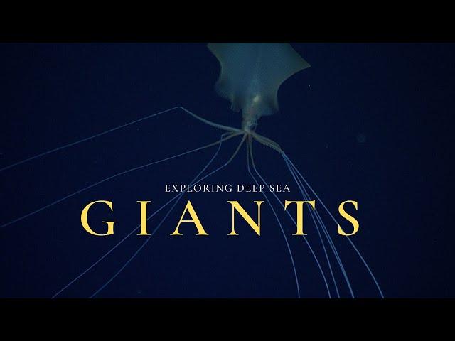 Deep Sea Gigantism | Why the Ocean Breeds Giants