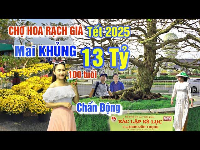 CHẤN ĐỘNG CHỢ HOA TẾT 2025 TP RẠCH GIÁ: CỤ MAI VÀNG 13 TỶ 100 NĂM TUỔI PHÁ VỠ KỶ LỤC XUÂN ẤT TỴ