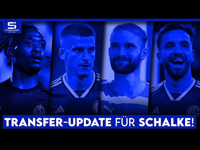 Transfer-Update Schalke: So steht es um Balikwisha, Sánchez, Asta, Matic, Karaman und mehr!