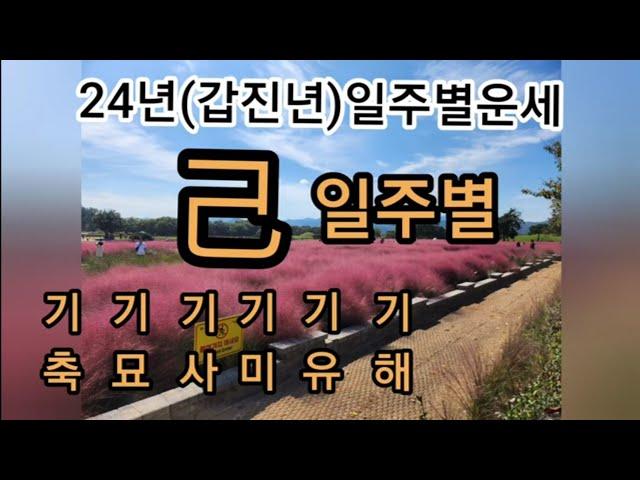 24년(갑진년)일주별세운-기토일주