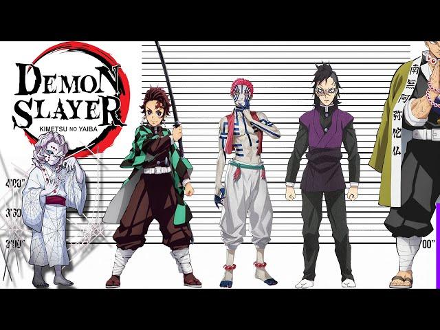 Demon Slayer Size Comparison | Character Heights