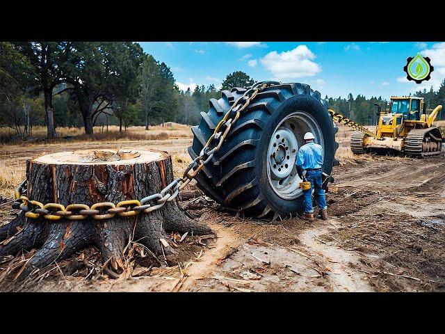 Extreme Dangerous Fastest Big Chainsaw Cutting Tree Machines | Monster Stump Removal Excavator #18