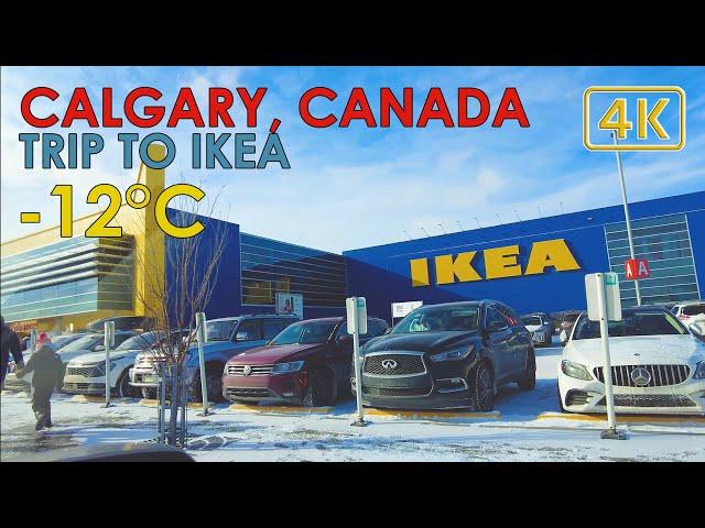 Trip to IKEA Calgary