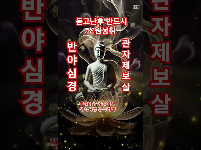 반야심경 듣고난후 반드시 업장소멸 소원성취 귀인돈줄온다색불이공 공불이색 색즉시공 공즉시색 수상행식 역부여시사리자 부처님 #불경 #love #peace #buddha #phật