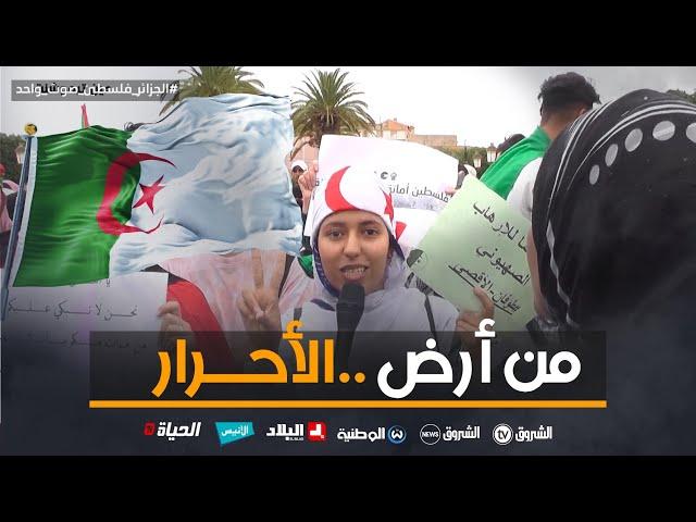 شاهد ما قالته مواطنة من الصحراء الغربية خلال الوقفة التضامنية ️