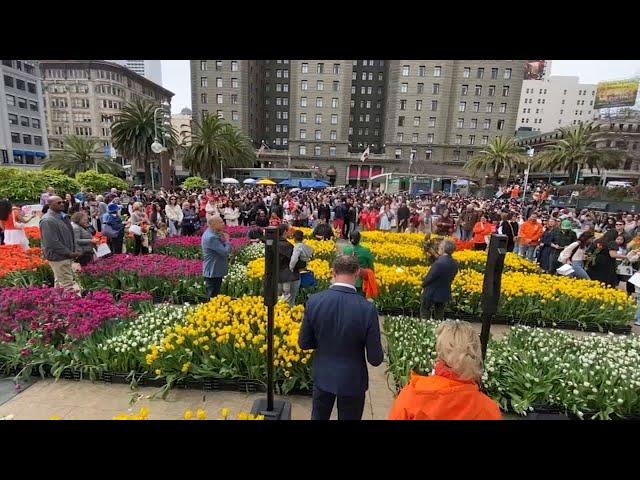 Tulip Day 2024: festival brings hope for San Francisco Union Square's economic recovery