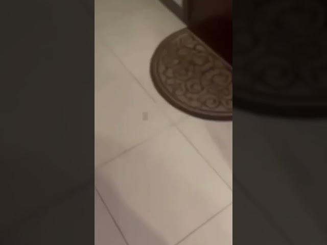 На МИЗУЛИНУ готовилось ПОКУШЕНИЕ?