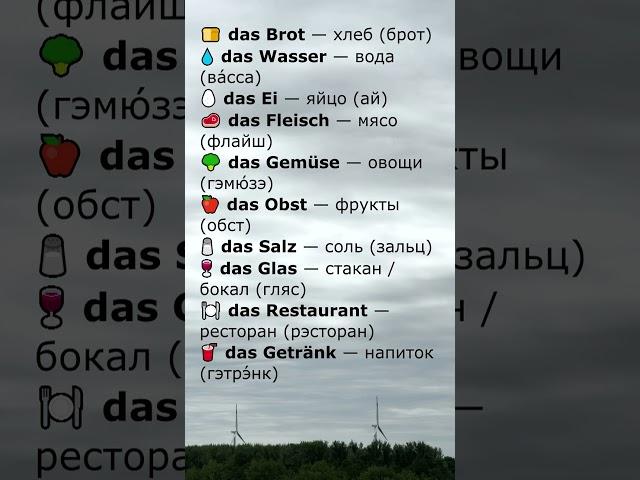 Немецкий с нуля: 10 слов с das + перевод | Слова с das [5/10]