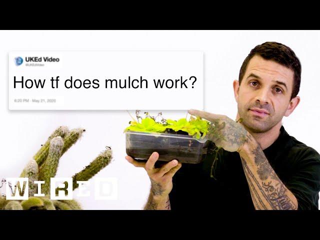 Botanist Answers Plant Questions From Twitter | Tech Support | WIRED