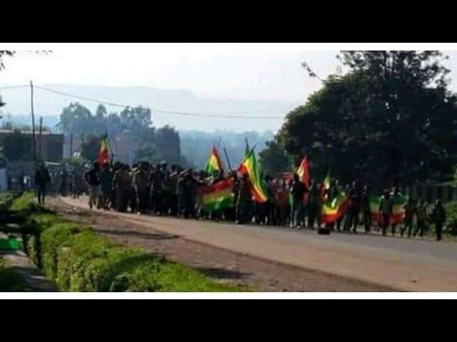 ኑ‼️ጀግኖቻችሁን ተመልከቱና መርቋቸው /Ethiopian defense forces in b/shelako m/training center /