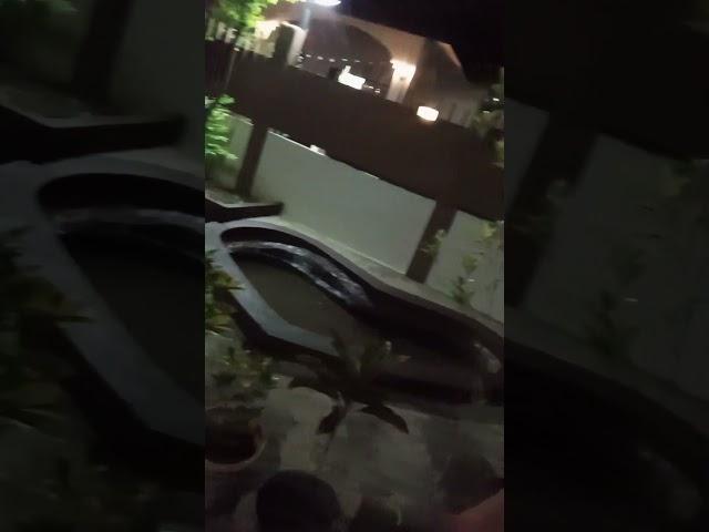 Made a beautiful pond outside