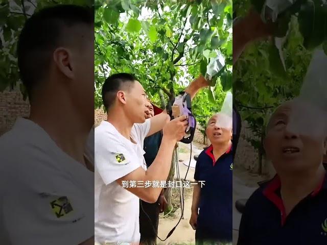 果樹套袋小工具，減少打農藥次數，減少病蟲害的滋生Small tool for bagging fruit to reduce frequency of pesticide application