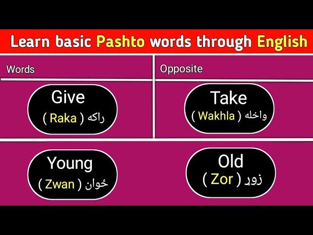 #129 Basic English Words in Pashto || Learn English in Pashto