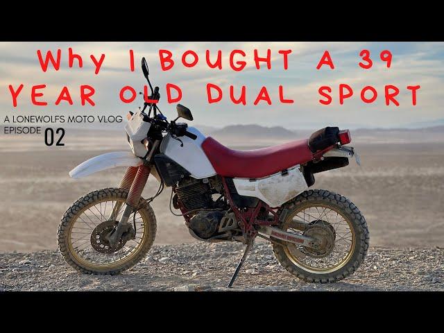 I Bought A 39 Year Old Dual Sport // 1984 Yamaha XT600