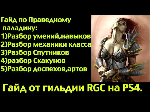 PS4 |  Neverwinter - Обзор, гайд, билд на паладина (гайд по важным аспектам данного класса)