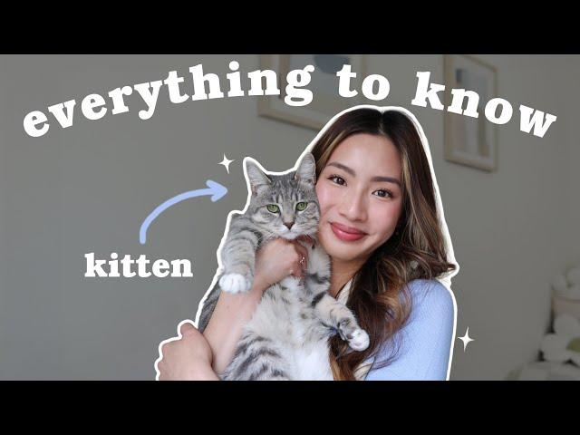 10 things to know before getting a cat  | Miki Rai