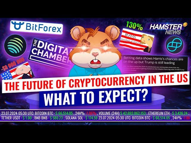 Kamala Harris meme coin surge, BitForex returns, $8M trader loss ️ Hamster News
