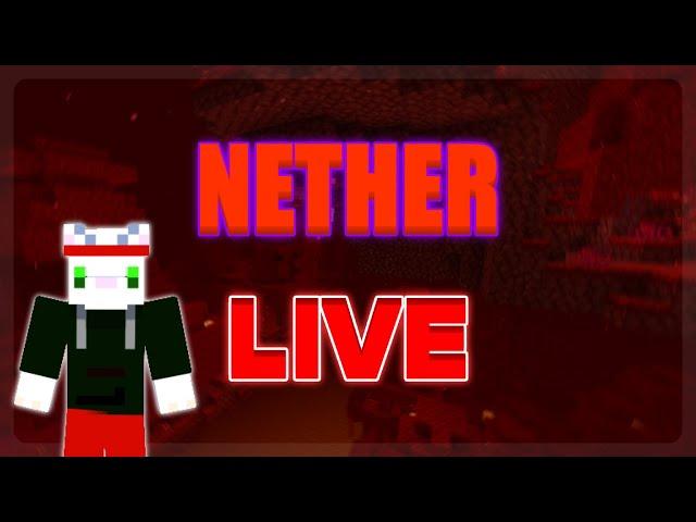  Minecraft Skit SMP | Playing with viewers! | The Nether for real this time | ItsSkitty15 Live