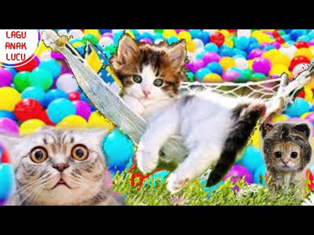 SI MEONG KUCING LUCU MANDI BOLA WARNA WARNI | LAGU ANAK LUCU BALITA TERPOPULER