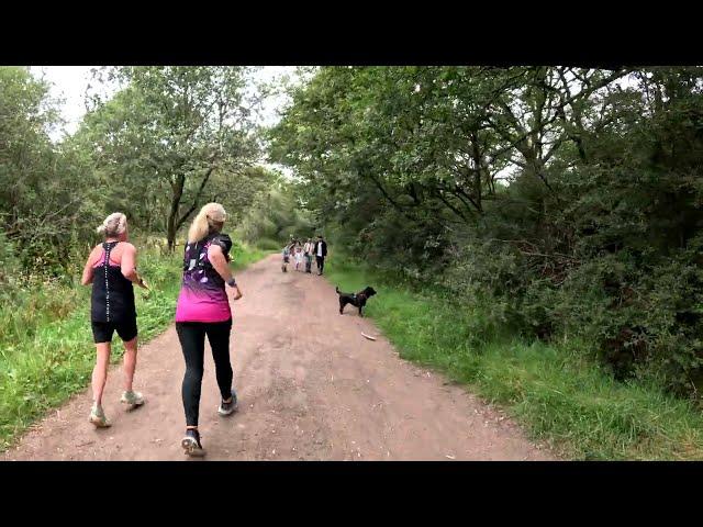 Serene London Walk Through Enchanting Epping Forest ASMR