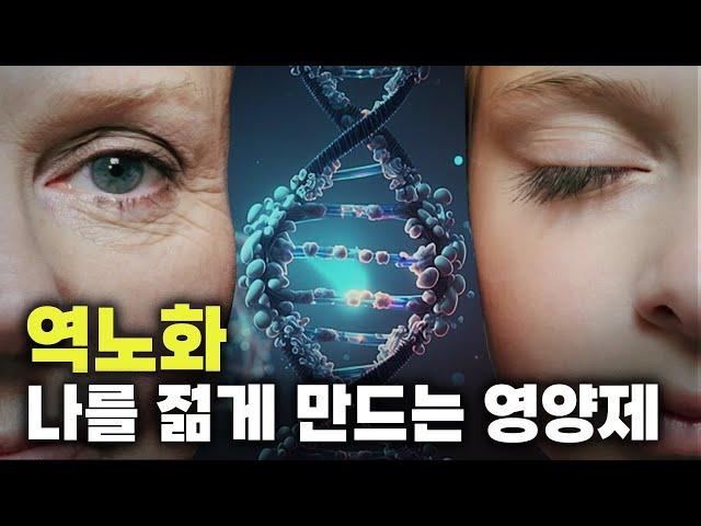 역노화| 늙은쥐가 다시 젊어졌다. 노화를 막는 영양제는 바로 '이것' (오토파지,간헐적단식)