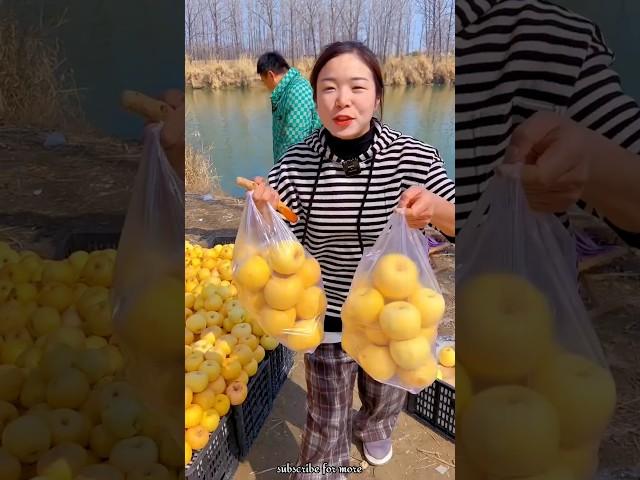 Delicious Yellow Apple  Fruits Harvest from Farm With Rural Farmer #shorts #apple #youtubeshorts