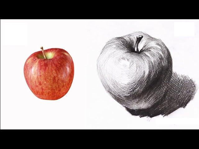 [ Basic Drawing ] How To Draw Fruits 02