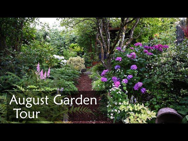 Mid-August Garden Tour