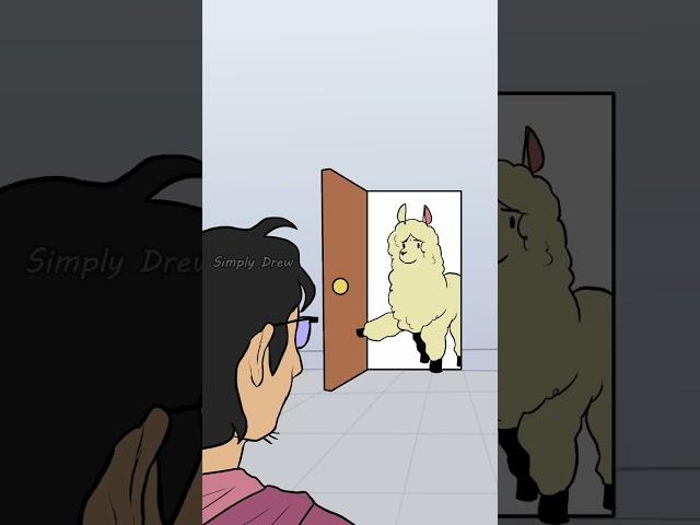 "Do I look like an alpaca to you?" (animated) #short