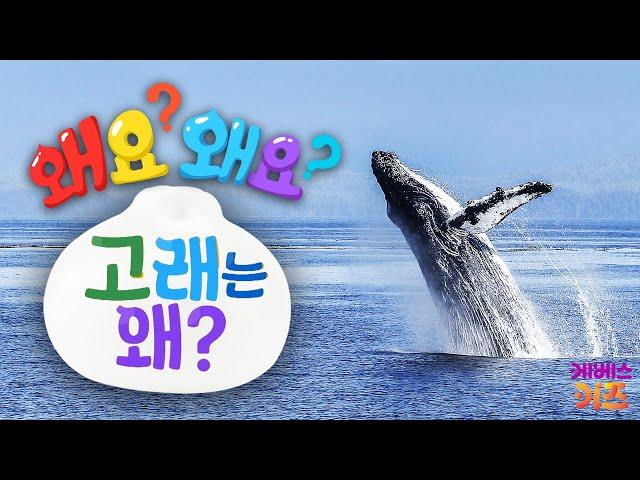 바다의 왕 고래! 고래는 왜?ㅣ왜요? 왜요? 궁금할 만두ㅣKBS 240404 방송