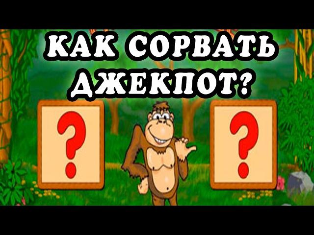 Игровые автоматы обезьянки crazy monkey