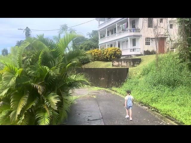 First day out in Dominica