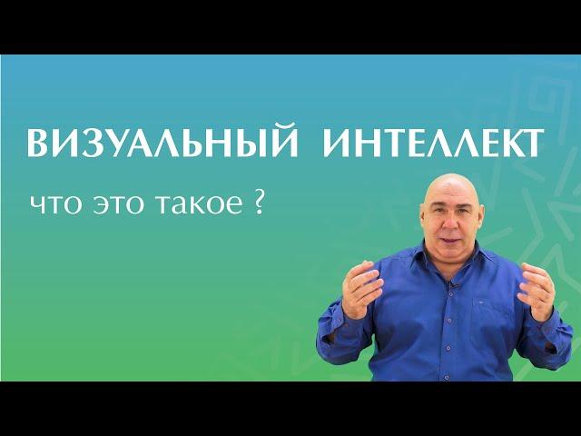 О проекте Визуальный Интеллект. Евгений Слогодский