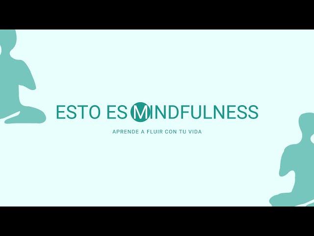 Grupos de meditación Mindfulness, qué son y cómo llevarlos.