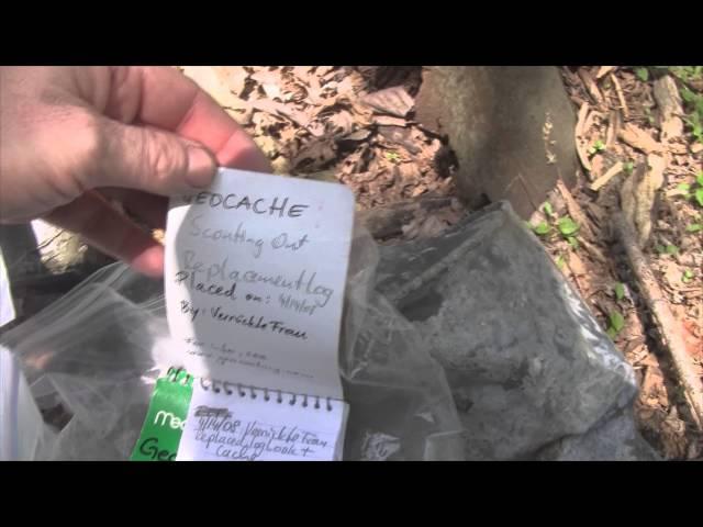 I Accidentally Found A Geocache While Mushroom Hunting