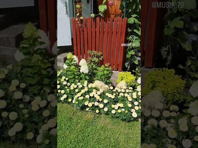 дача в Дрездене