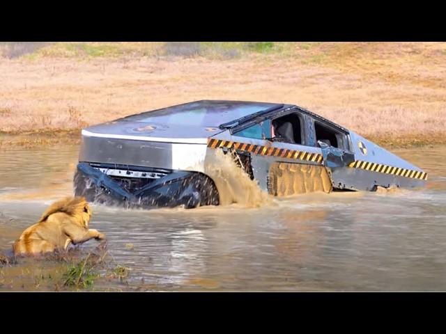  Funny Off Road Fails of 2024 4x4 Adventures Gone Hilariously Wrong!  Try Not to Laugh