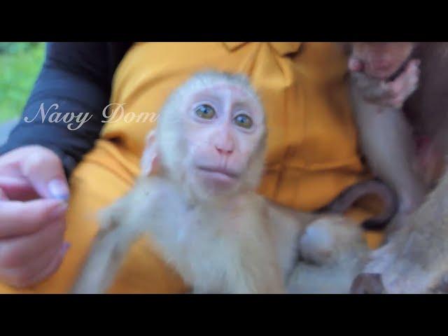 Poor baby Angela and other orphans in Sovana team really love mom Kunthea and trust in her