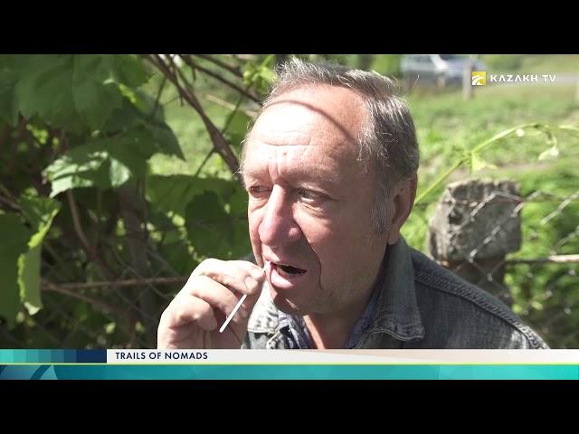 Trails of nomads №5. Дешті Қыпшақ халқы Беларусь жеріне қашан және не себепті көшіп барды?
