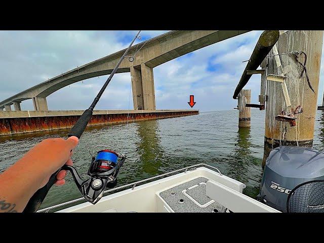 Fishing under HUGE! BRIDGES and SEA WALLS in MOBILE Bay! [Catch, Clean, Cook]