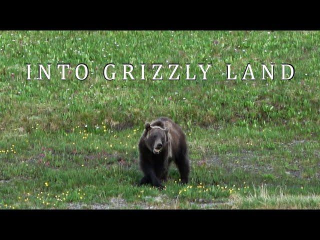 INTO GRIZZLY LAND | A 7 Day Teton Wilderness Experience | 4K Backpacking Documentary