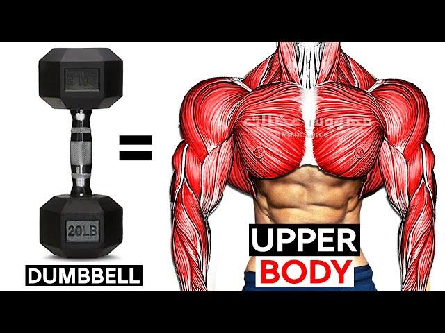 UPPER BODY WORKOUT WITH DUMBBELLS  (Shoulder-forearms-chest-triceps-back-biceps)